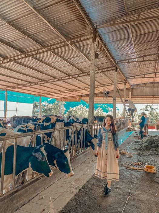 Rút gọn kinh nghiệm du lịch Mộc Châu 3N2Đ tự túc chi tiết nhất từ Mytour.vn 13