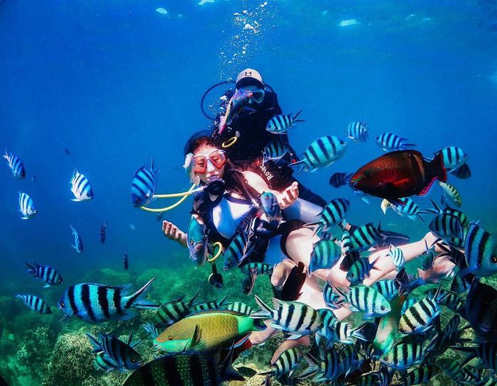 Kinh nghiệm du lịch bụi Nha Trang mang lại những bí quyết hữu ích cho những người muốn khám phá. 8