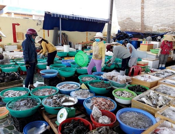 Đến Nha Trang là phải thưởng thức hải sản Nha Trang tươi ngon.