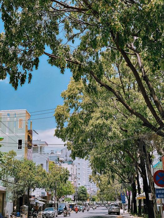 Nha Trang mùa này thật là đẹp, hãy sẵn sàng và lên đường ngay bạn ơi!
