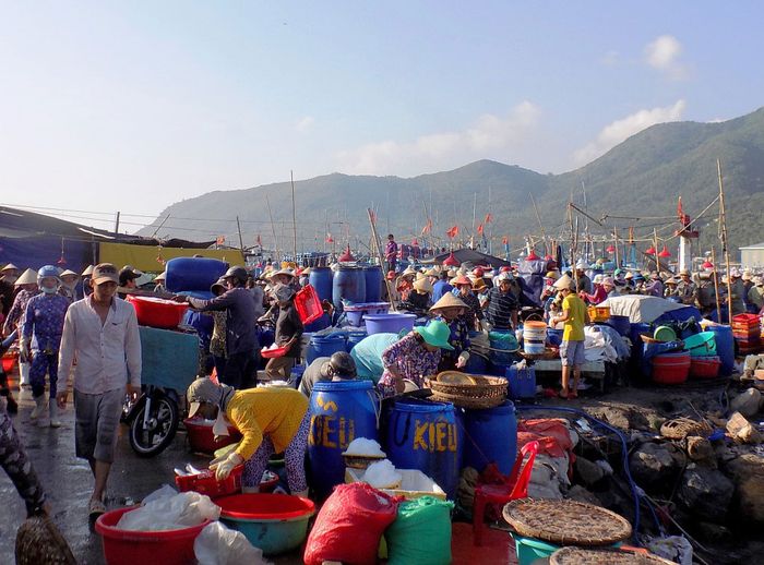 Khám phá bí quyết mua hải sản Nha Trang chất lượng 7