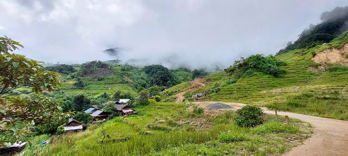 Khám Phá Hành Trình Trekking Núi Ngọc Linh Của Người Xê Đăng 7