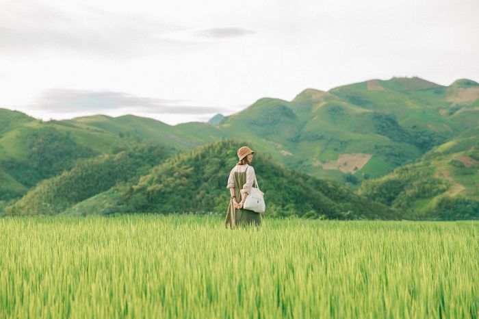 Hãy cùng Phạm Hoài Thương và nhóm bạn 9x khám phá Mộc Châu trong mùa hè trong lành và dễ chịu