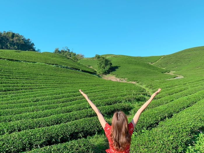 Bỏ túi những kinh nghiệm du lịch Mộc Châu 3N2Đ tự túc chi tiết nhất từ Mytour.vn 6
