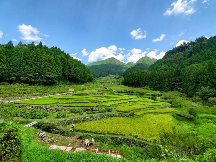 Vùng đất Aichi - nơi lưu giữ di sản lâu đài và samurai tại Nhật Bản
