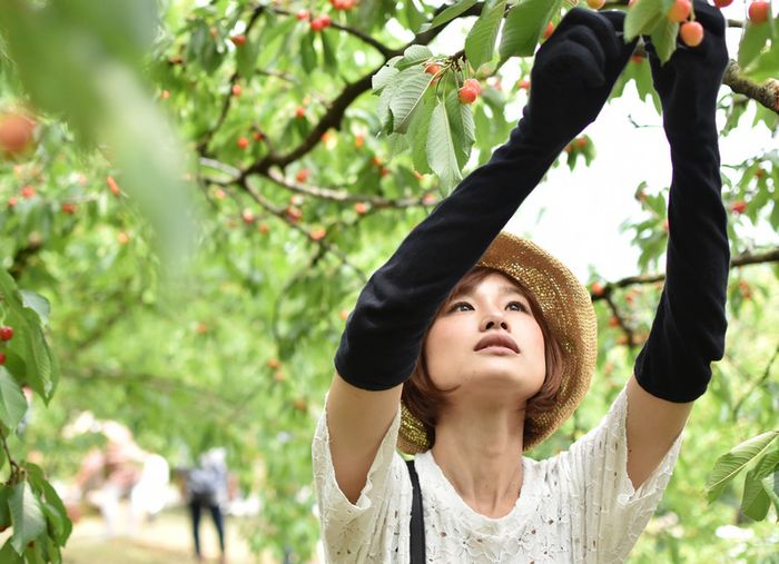 Otsuki - Cửa ngõ đưa đến biểu tượng linh thiêng của Nhật Bản, núi Phú Sĩ