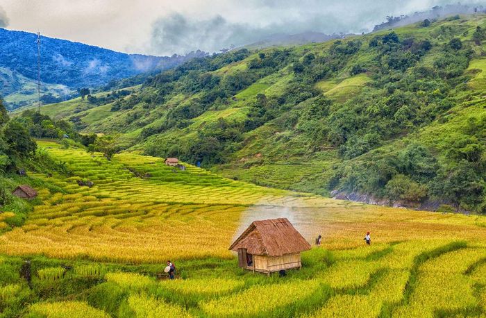 Khám Phá Trekking Núi Ngọc Linh, Chốn Linh Thiêng Của Người Xê Đăng 8