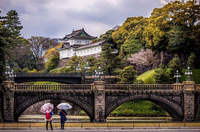 Du khách Tokyo, đừng bỏ lỡ vô số trải nghiệm thú vị!