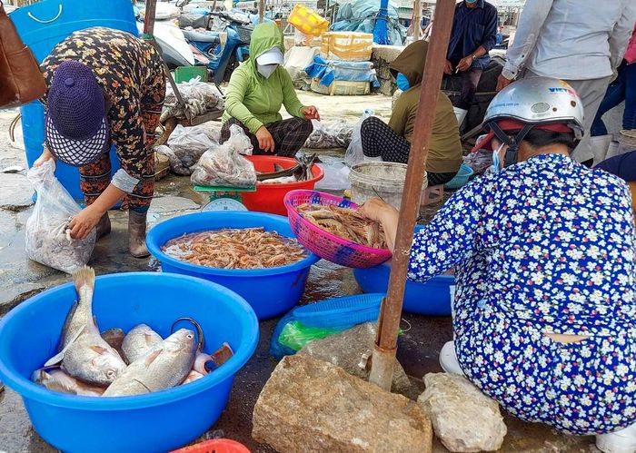 Khám phá bí quyết chọn mua hải sản Nha Trang chất lượng 4