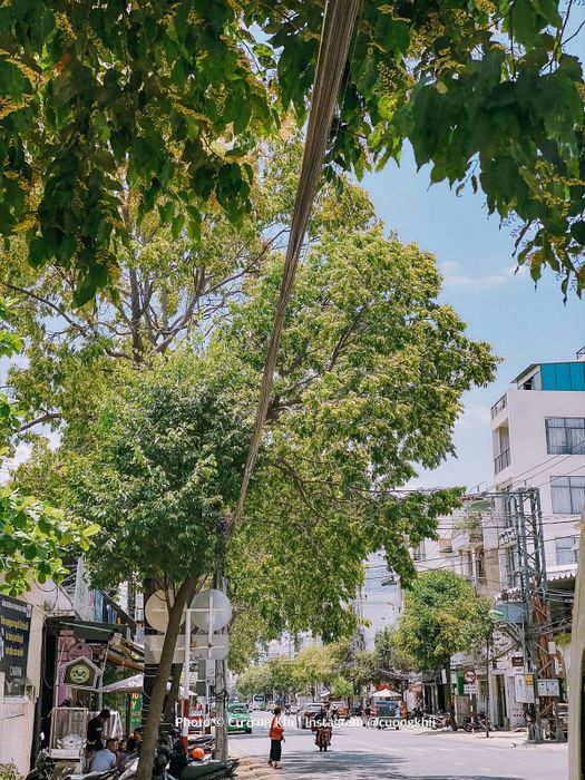 Mùa này, Nha Trang thật đẹp quá trời, hãy sắp xếp vali và lên đường ngay bạn ơi!