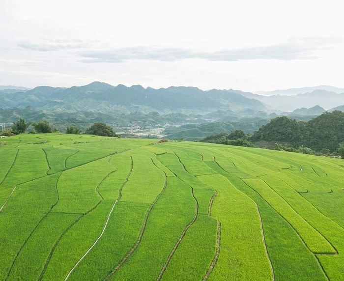 Hãy cùng Phạm Hoài Thương và nhóm bạn 9x khám phá Mộc Châu trong mùa hè trong lành và dịu dàng