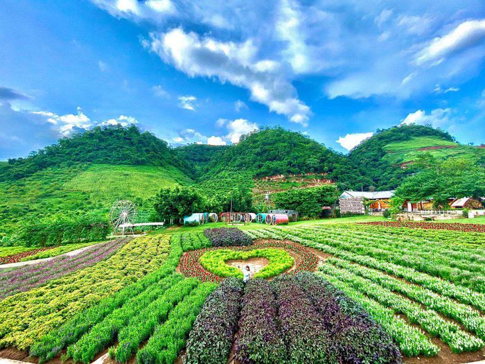 Tóm tắt kinh nghiệm du lịch Mộc Châu chi tiết nhất 9