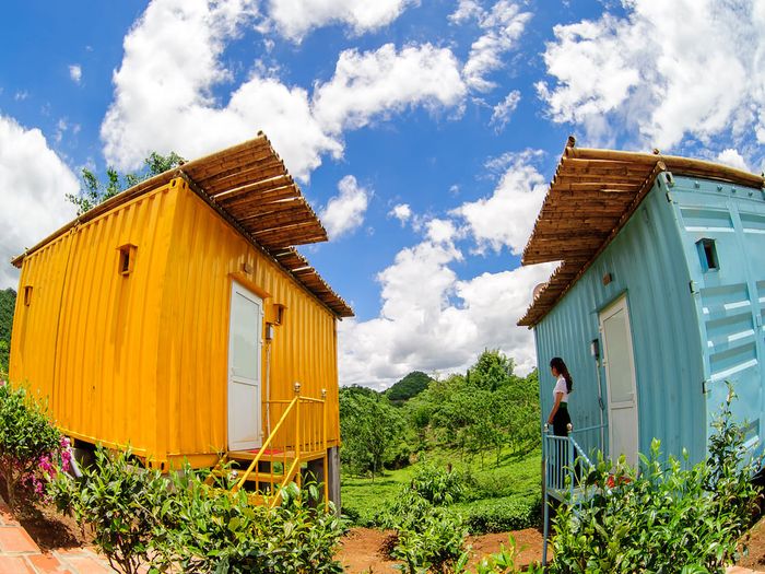 Tổng hợp kinh nghiệm đi Mộc Châu 3 ngày 2 đêm tự túc chi tiết từ Mytour.vn