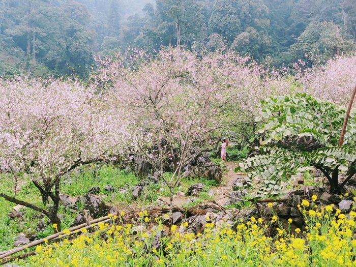 Bí quyết khám phá bản Lóng Luông tự do từ A đến Z 2