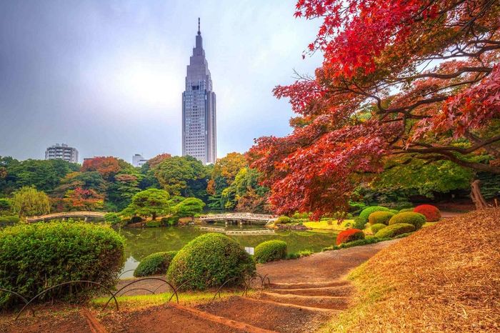 Đừng bỏ lỡ vô số trải nghiệm tuyệt vời khi du lịch Tokyo!