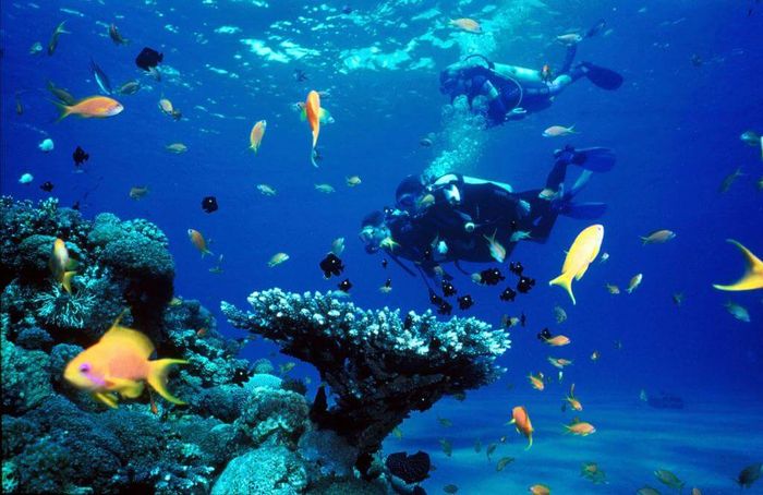 Hòn Một - Một làng chài nhỏ yên bình, thơ mộng nép mình bên thành phố Nha Trang sôi động 7