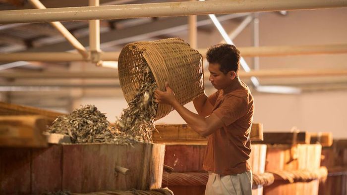 Top 20+ đặc sản Nha Trang nổi tiếng