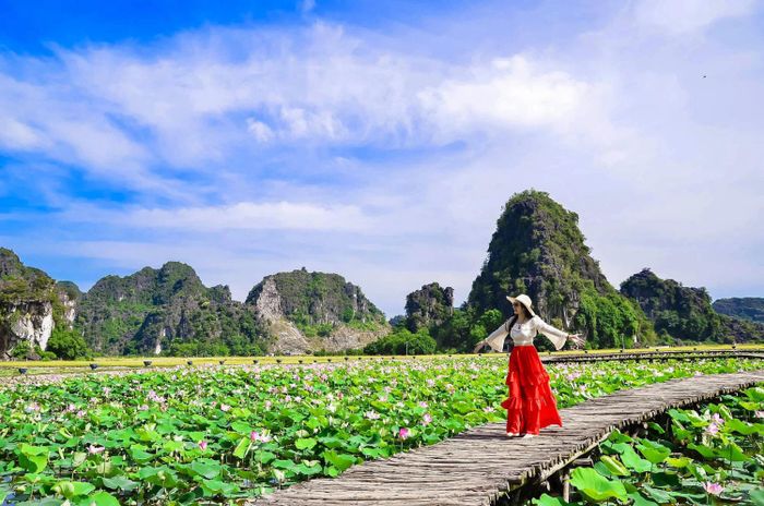 Mê đắm trước vẻ đẹp tuyệt sắc của mùa sen Ninh Bình 11