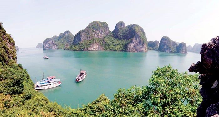 động Mê Cung
