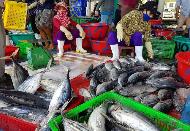Khám phá danh sách các địa điểm bán hải sản Nha Trang giá rẻ, tươi ngon 2