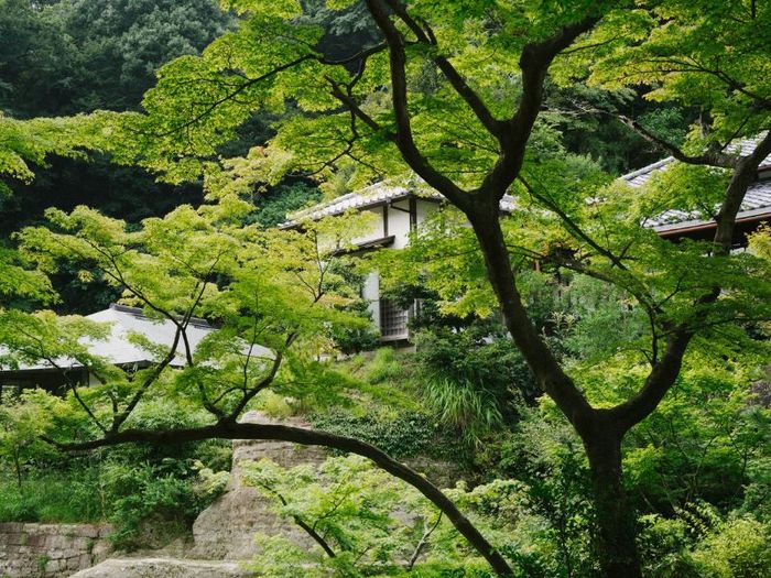 Khám phá Kamakura - nơi cổ kính và yên bình gần Tokyo 3