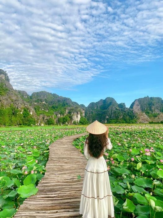 Mê đắm trước vẻ đẹp tuyệt sắc của mùa sen Ninh Bình 10