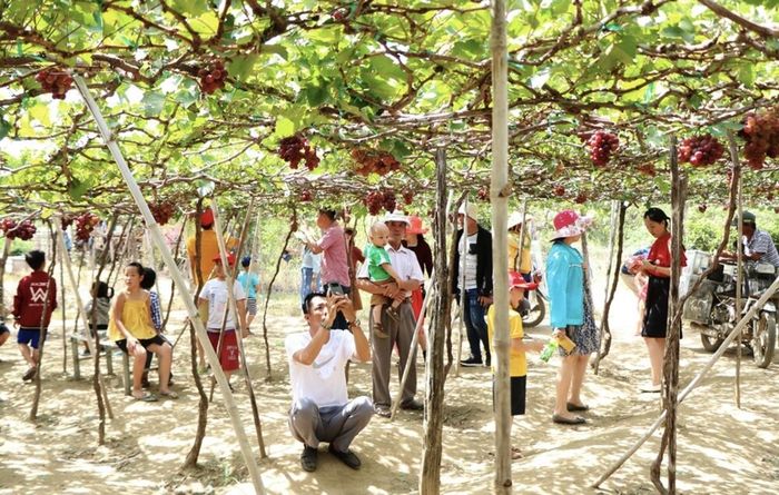 Chia sẻ những bí quyết du lịch Phan Rang tự túc không phải ai cũng biết 5