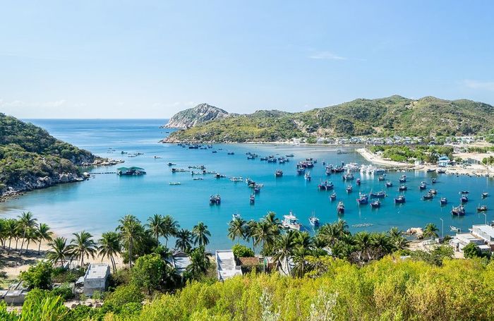 Khám phá Biển Ninh Chữ với vẻ đẹp hoang sơ say đắm lòng người 3