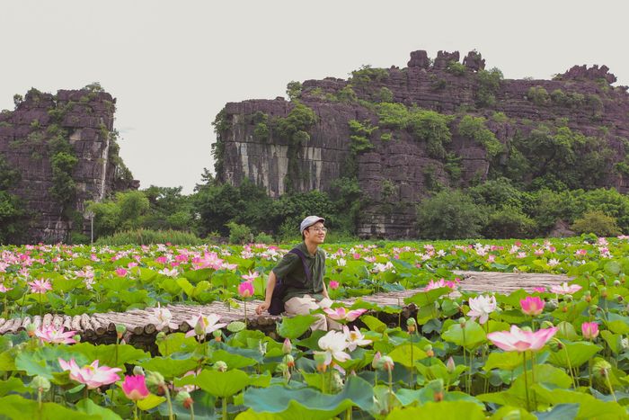 Mê mẩn trước vẻ đẹp rực rỡ của mùa sen Ninh Bình 7