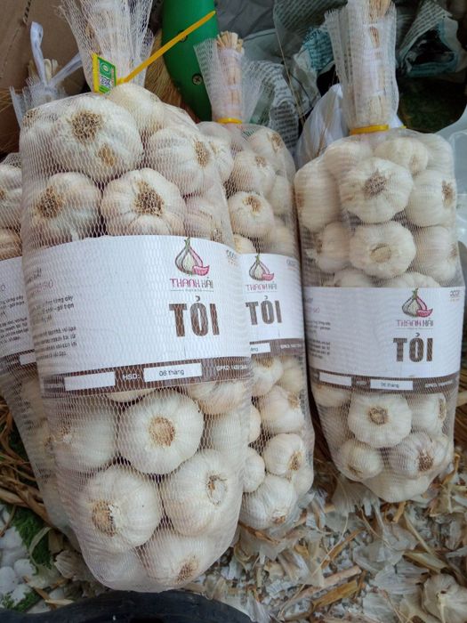 Tỏi Phan Rang - Biểu tượng ẩm thực của Ninh Thuận 4