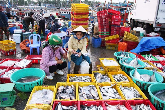 Dẫn dắt bạn qua một ngày khám phá Ninh Thuận tường tận nhất