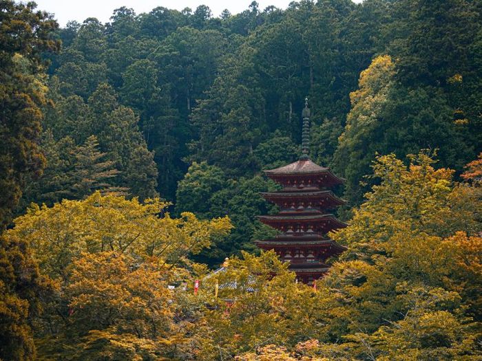 Khám phá Kamakura - một thành phố cổ kính và yên bình bên cạnh Tokyo 9