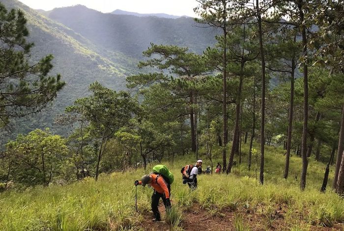 Chia sẻ kinh nghiệm trekking Núi Chúa cho những người đam mê du lịch khám phá