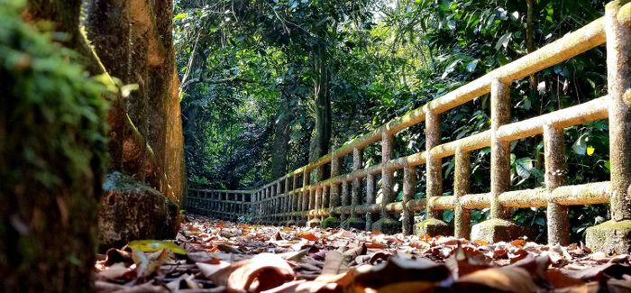 Động Người Xưa - Nơi lưu giữ dấu chân của người tiền sử ở Ninh Bình