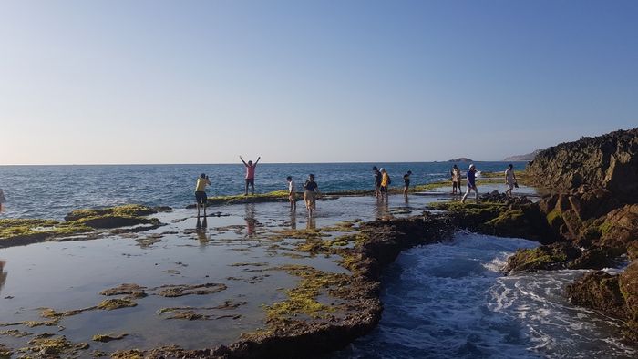 Cung đường biển 702 Phan Rang - Bình Tiên: Khám phá vẻ đẹp tự nhiên