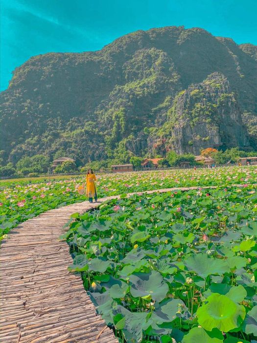 Trải nghiệm vui vẻ tại Tràng An, đừng quên lưu lại bài viết này.