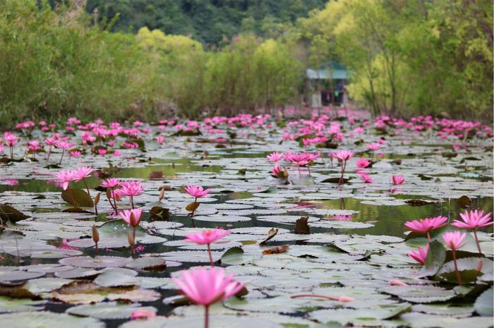 Tháng nào là thời gian thích hợp nhất để du lịch Ninh Bình?
