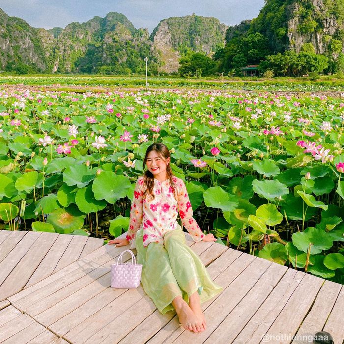Khám phá vẻ đẹp của Đầm Sen và Hang Múa ở Ninh Bình, nơi bạn có thể lạc lối quên đường về cùng Hồ Thiên Nga 8