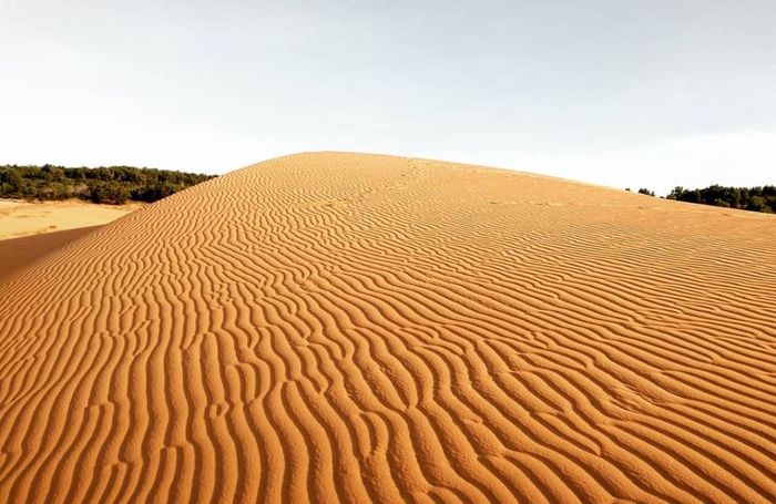 Để Mytour.vn gợi ý lịch trình Phan Thiết 3N2Đ vui vẻ và tiết kiệm cho bạn