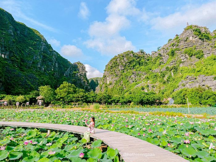Khám phá vẻ đẹp của Đầm Sen và Hang Múa ở Ninh Bình, nơi bạn có thể quên lối về cùng Hồ Thiên Nga 2