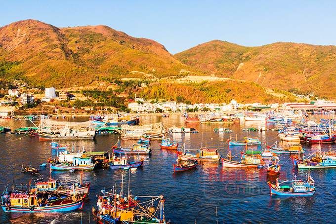 Khám phá danh sách các địa điểm mua hải sản Nha Trang giá rẻ, tươi ngon 7