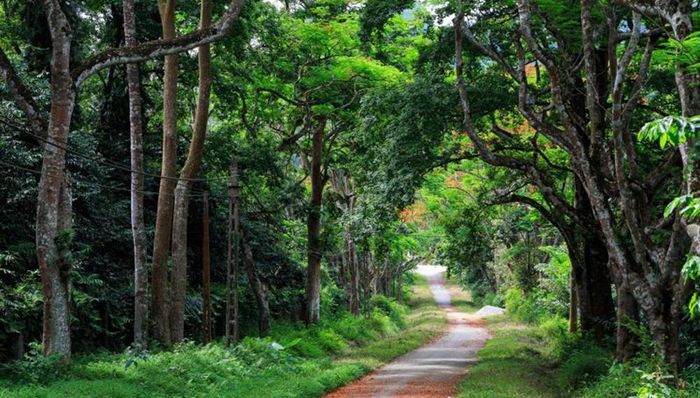 Khám phá Cúc Phương vào mùa bướm như chốn tiên cảnh thơ mộng lần 4