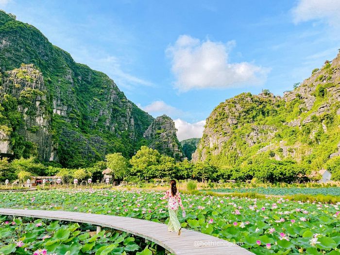Khám phá vẻ đẹp của Đầm Sen và Hang Múa ở Ninh Bình, nơi bạn có thể quên đường về cùng Hồ Thiên Nga 7