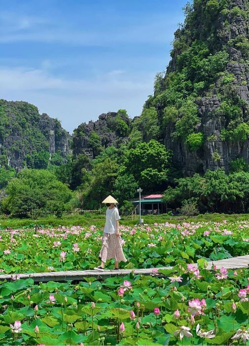 Đầm sen Hang Múa - Thiên đường thơ mộng tại Ninh Bình