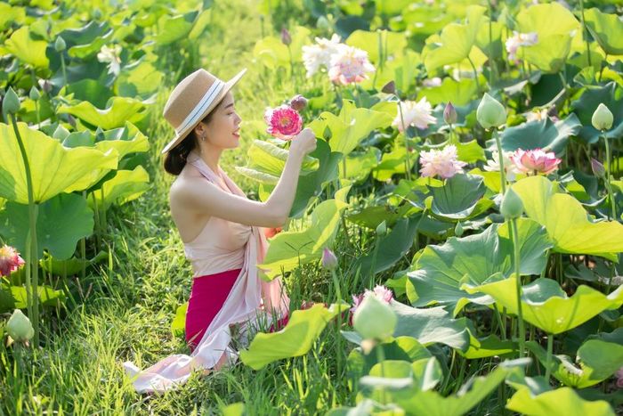 Ninh Bình trong mùa sen vẫn đẹp ngây ngất như một bức tranh tuyệt vời, đầy những nét đặc sắc