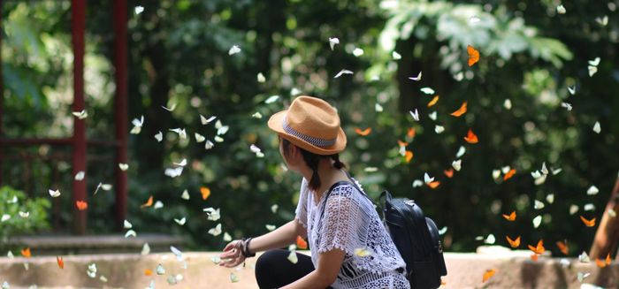 Khám phá Cúc Phương vào mùa bướm như chốn tiên cảnh lãng mạn lần 6