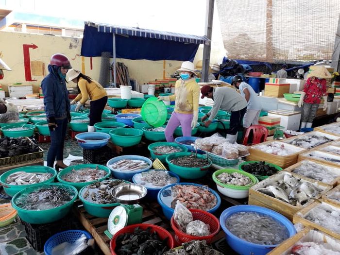 Khám phá danh sách các địa điểm bán hải sản Nha Trang giá rẻ, tươi ngon 5