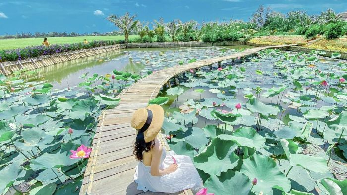 Khám phá khu du lịch sinh thái Sen Charaih Mỹ Nghiệp 7