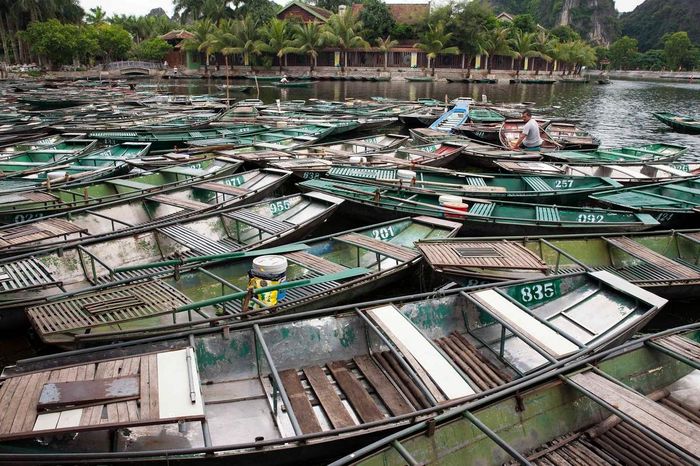 Chèo thuyền tại Tam Cốc không chỉ là hoạt động quen thuộc mà còn là điểm đến thu hút sự chú ý của nhiều du khách.