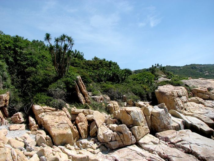 Khám phá vẻ đẹp tự nhiên tại Bãi Thùng Ninh Thuận